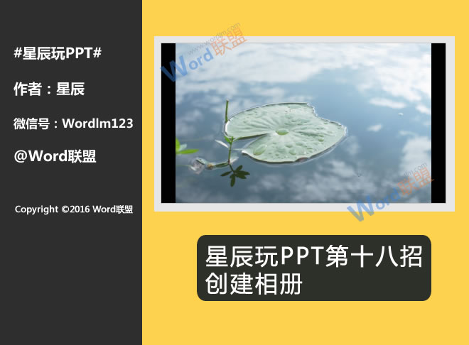 ALICE计女神直播——2019最新国产高清不卡a，虚拟与现实的交响，科技与娱乐的崭新碰撞